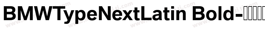 BMWTypeNextLatin Bold字体转换